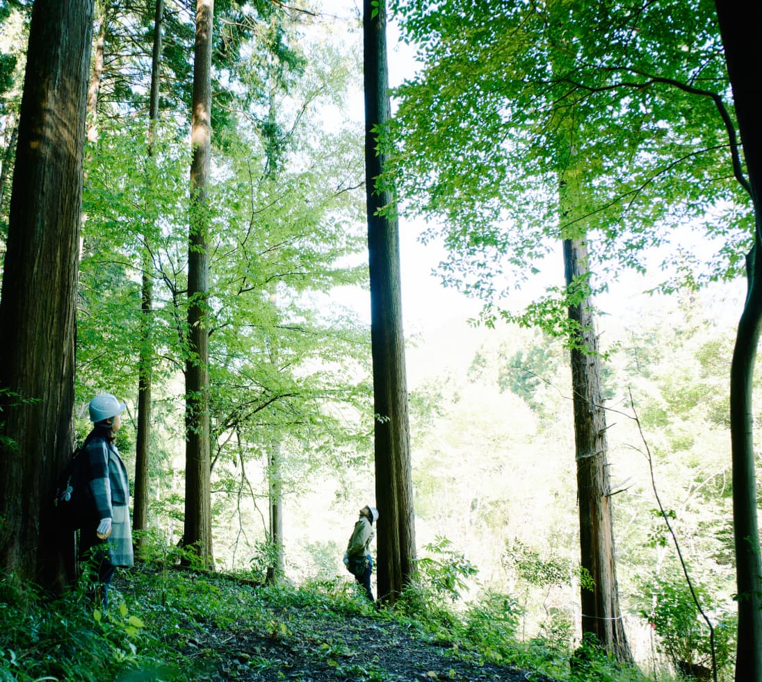 森を散策する人々