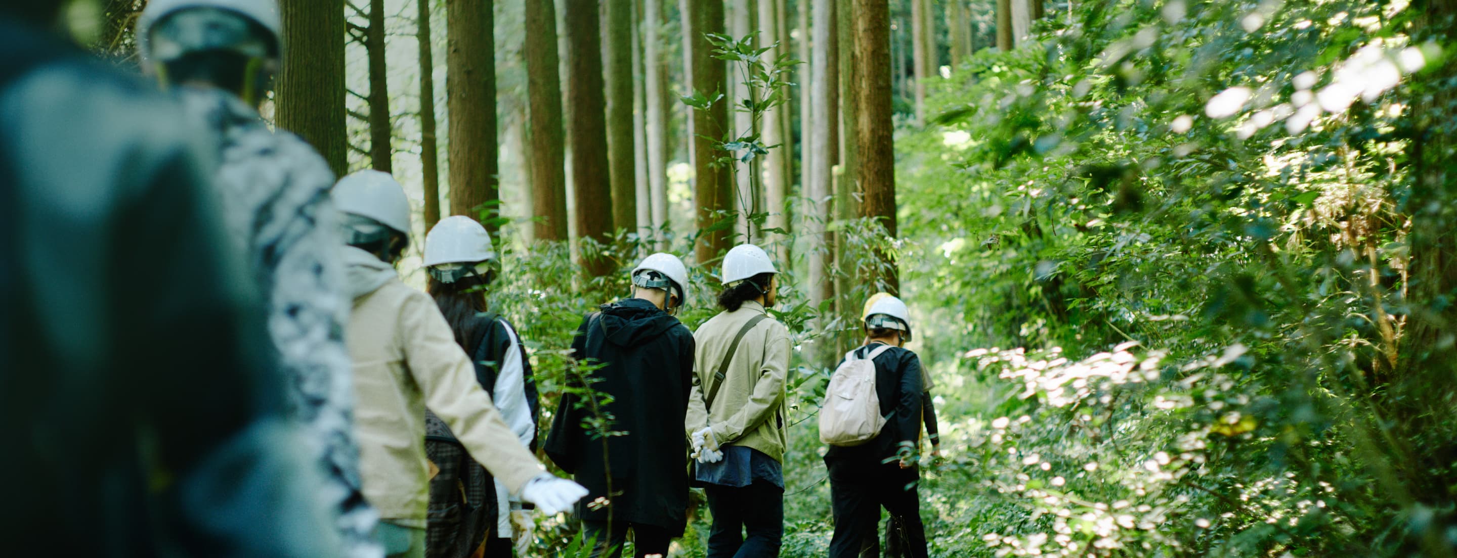 森を散策する人々