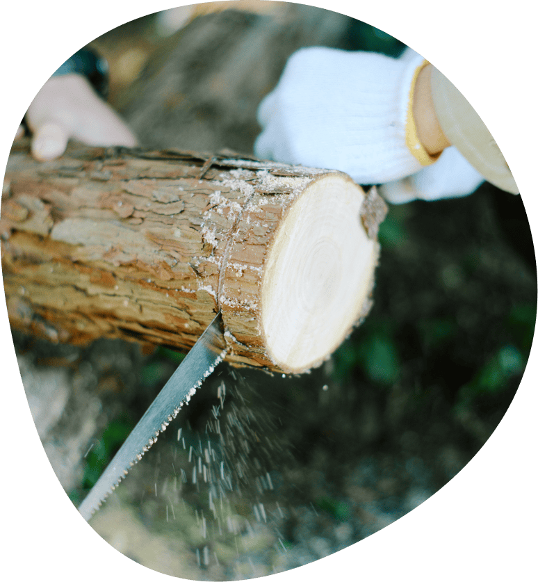 丸太切りの様子