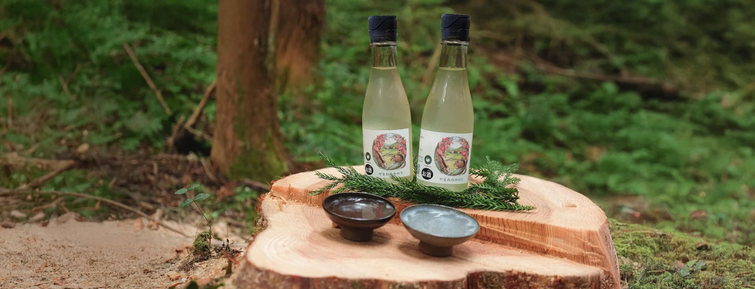 森の中の切り株の上に置かれた2本のお酒