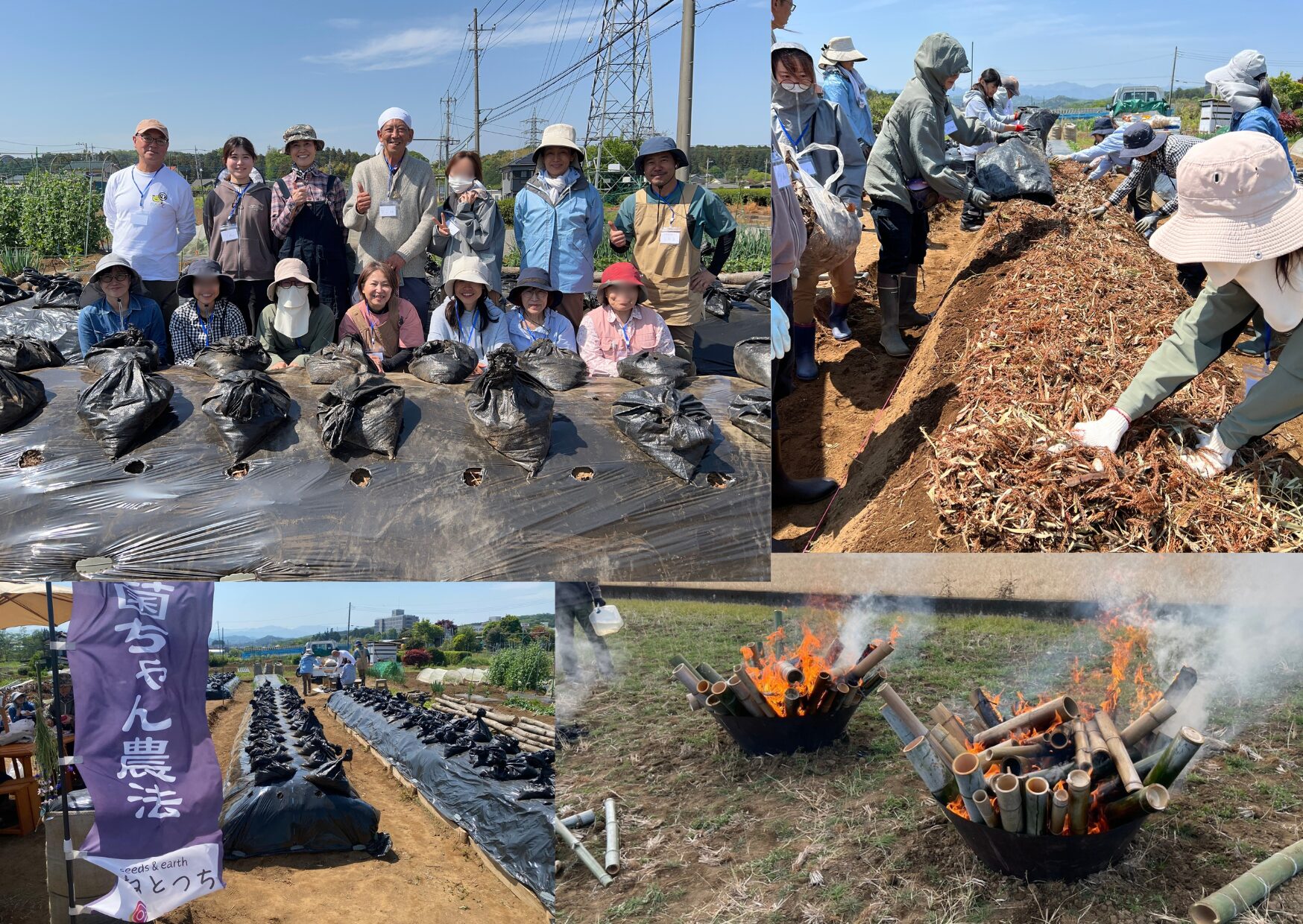 36bd5b4bbec56e873eda98888ed138